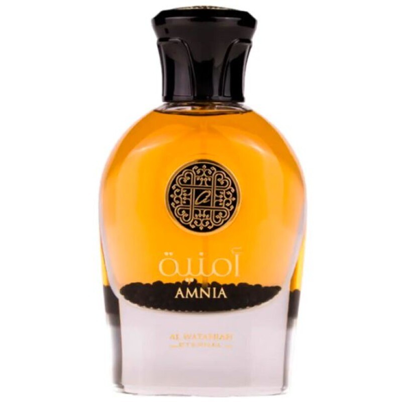 Al Wataniah Unisex Amnia EDP Spray 3.4 oz Fragrances 5055810030452