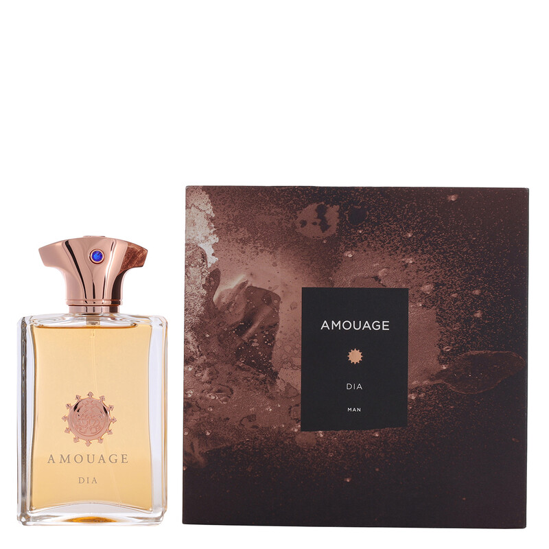 Amouage Men's Dia EDP Spray 3.4 oz (100 ml) 701666410034