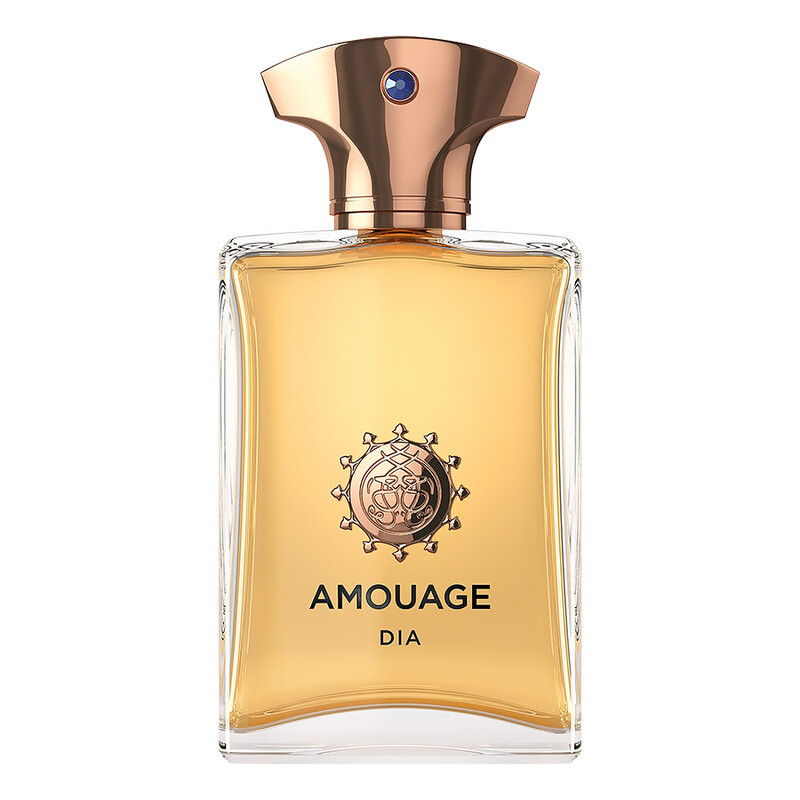 Amouage Men's Dia EDP Spray 3.4 oz (100 ml) 701666410034