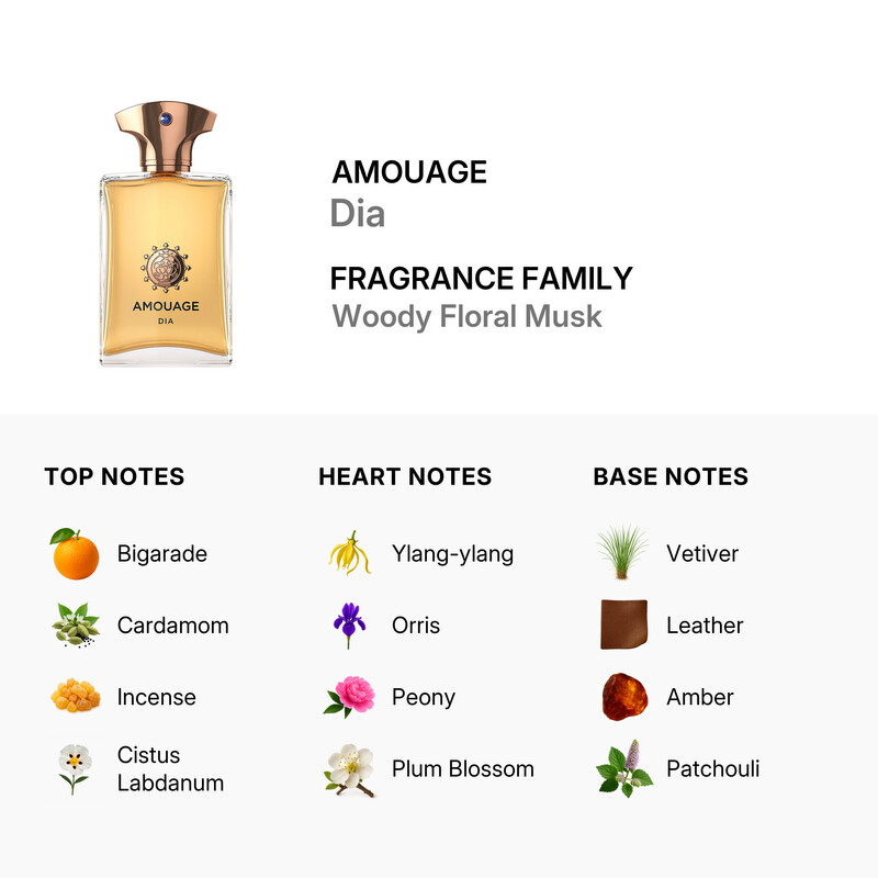 Amouage Men's Dia EDP Spray 3.4 oz (100 ml) 701666410034