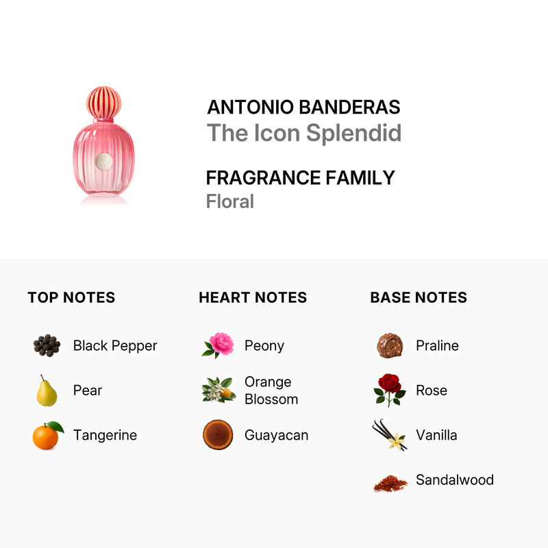 Antonio Banderas Ladies The Icon Splendid EDP Spray 3.3 oz (Tester ...