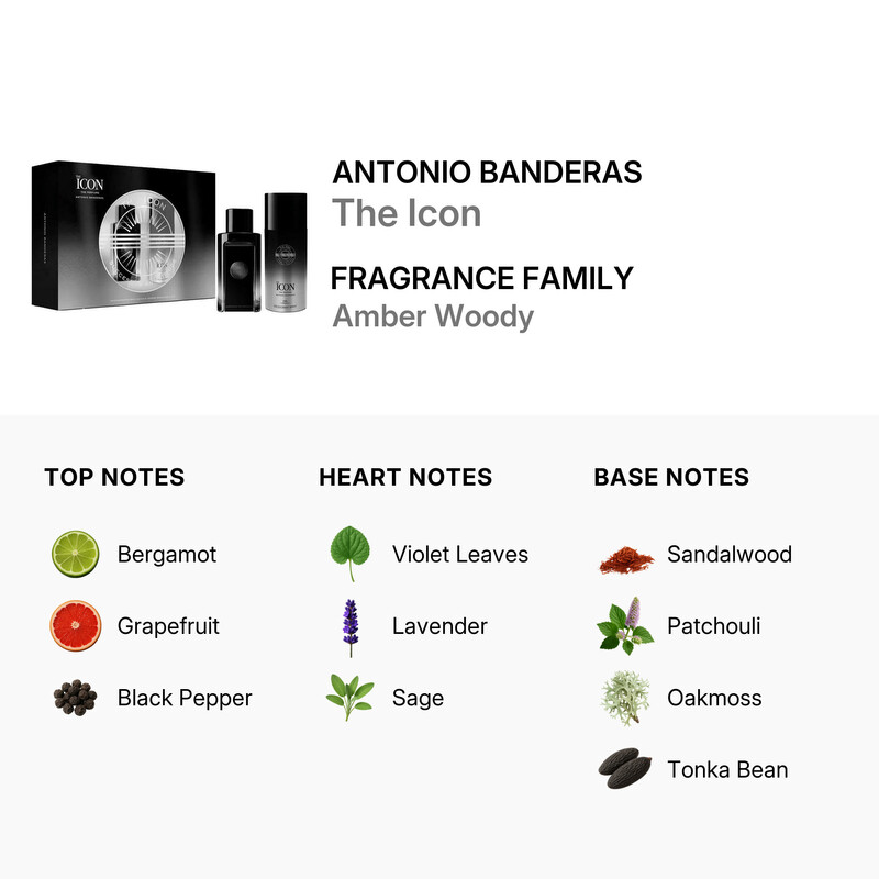 Antonio Banderas Men's The Icon Gift Set Fragrances 8411061003589