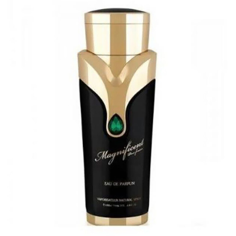 Armaf Magnificent EDP For Women 100ML 6294015108958 - Fragrances