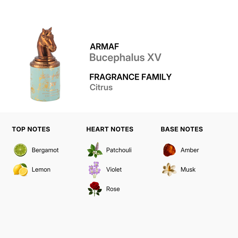 Armaf Unisex Bucephalus XV EDP Spray 3.4 oz Fragrances