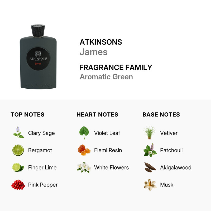 Atkinsons Men's James EDP Spray 3.4 oz Fragrances 8011003877973