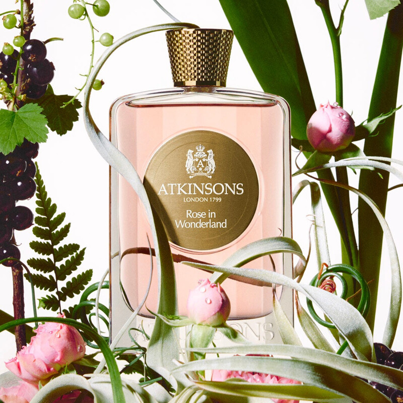 Atkinsons Unisex Rose In Wonderland EDP Spray 3.3 oz Fragrances