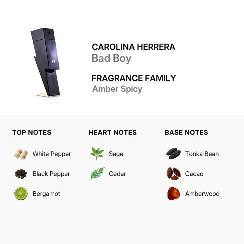Carolina Herrera Bad Boy / Carolina Herrera EDT Spray 3.4 oz (100