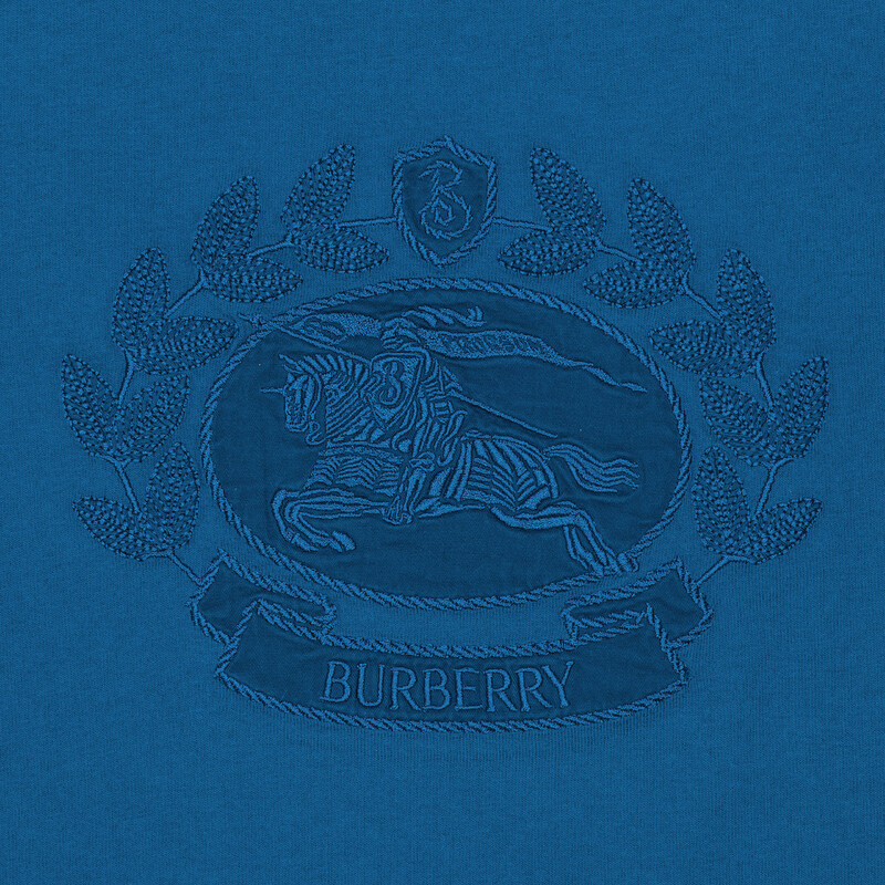 Burberry Embroidered Logo Cotton T-Shirt, Size X-Small 8093653