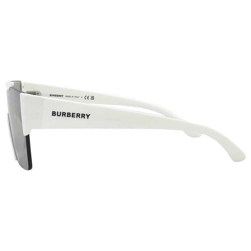 Burberry Grey / Burberry Silver / Gold Shield Men display picture 1