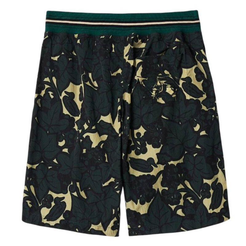 Burberry Ivy and Duck Motifs Nylon Shorts, Size X-Small 8090297