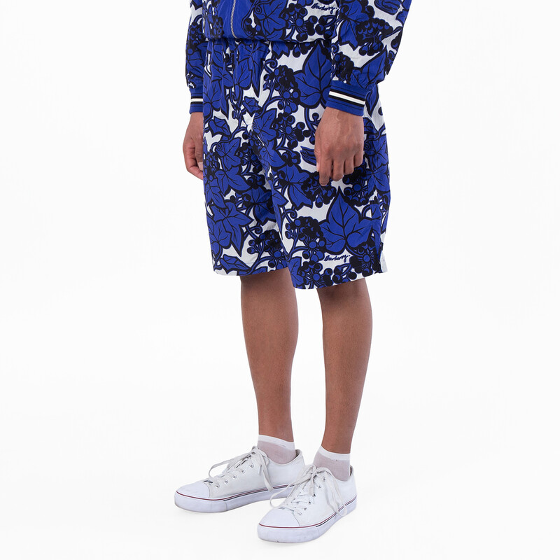 Burberry Ivy Printed Nylon Shorts, Size X-Large 8090008 - Clothing