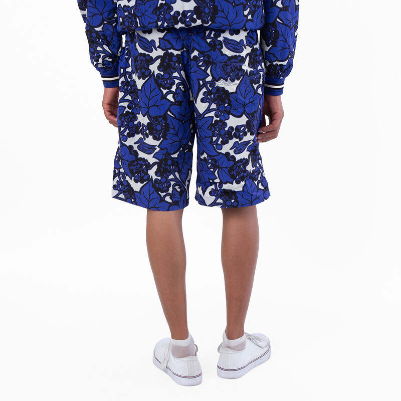 Burberry Ivy Printed Nylon Shorts, Size X-Large 8090008