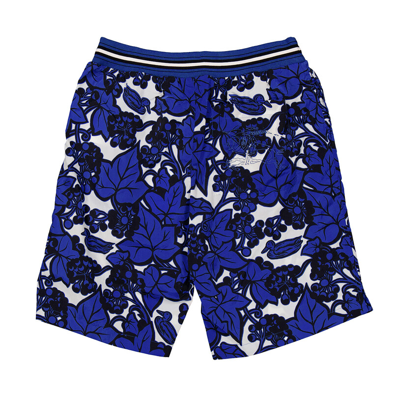 Burberry Ivy Printed Nylon Shorts, Size X-Large 8090008