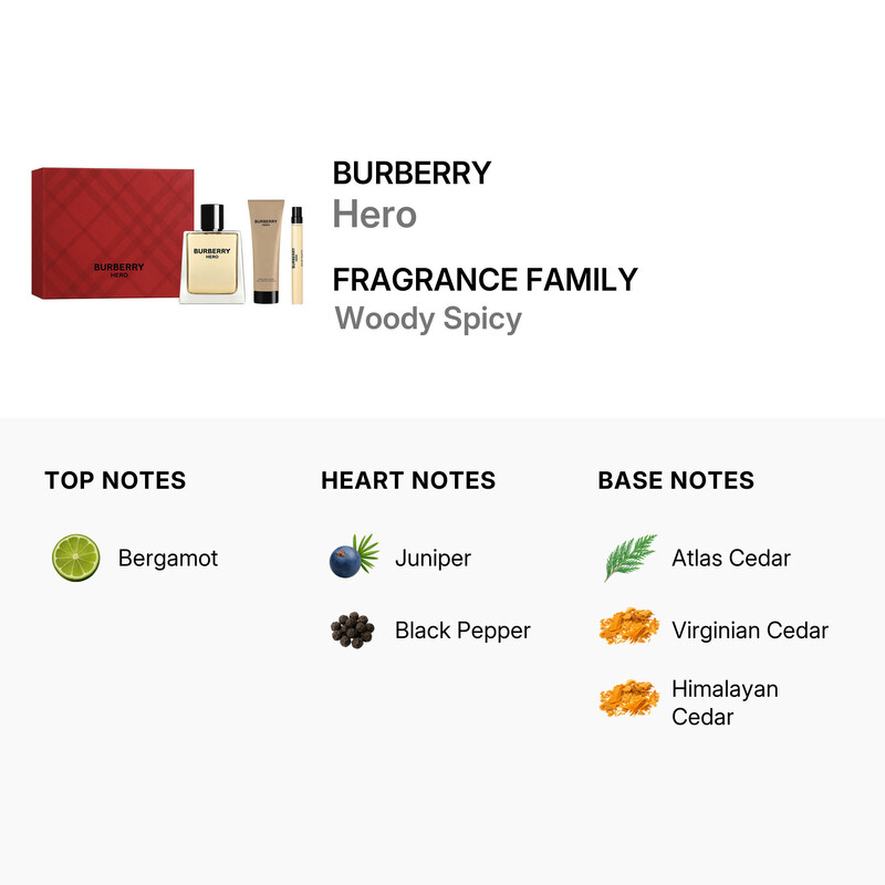 Burberry Men's Hero Gift Set Fragrances 3616305255228 - Burberry