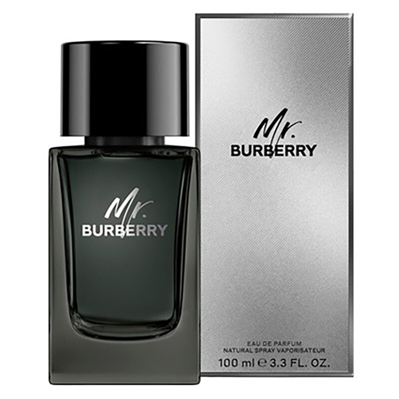 Burberry Men's Mr. Burberry EDP Spray 3.4 oz Fragrances