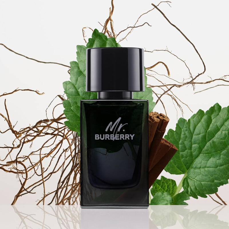 Burberry Men's Mr. Burberry EDP Spray 3.4 oz Fragrances