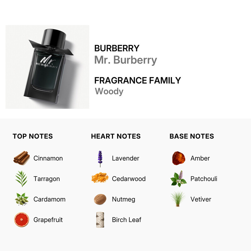Burberry Men's Mr. Burberry EDP Spray 5.0 oz Fragrances