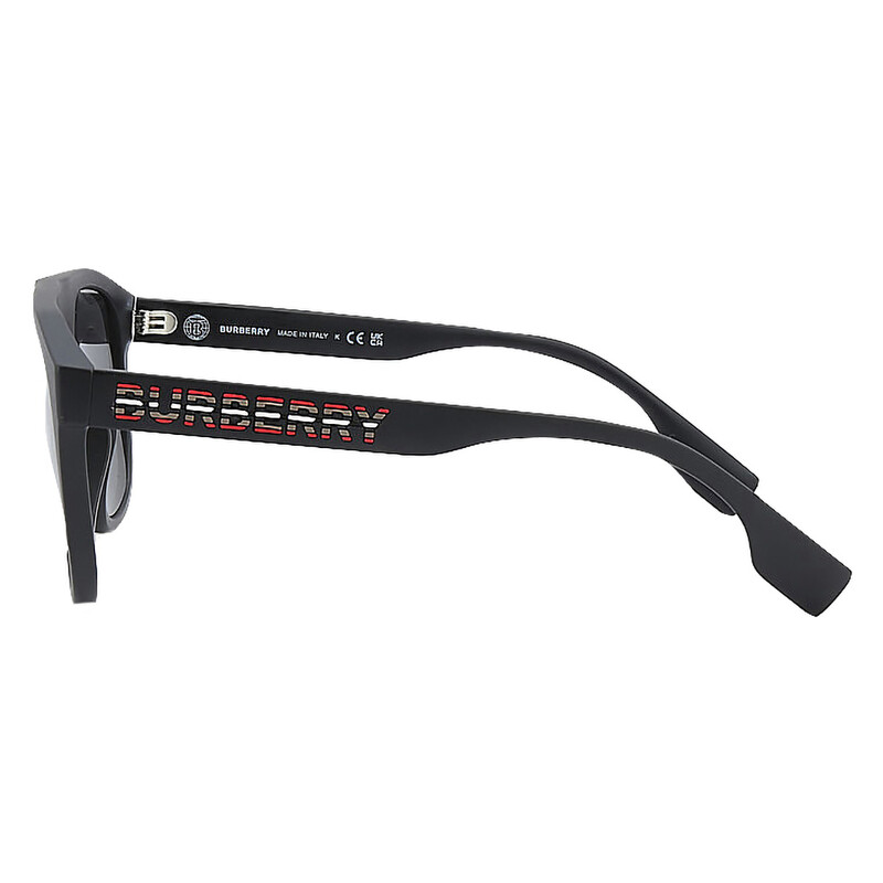 Burberry Wren Dark Grey Browline Men's Sunglasses BE4396U 346487