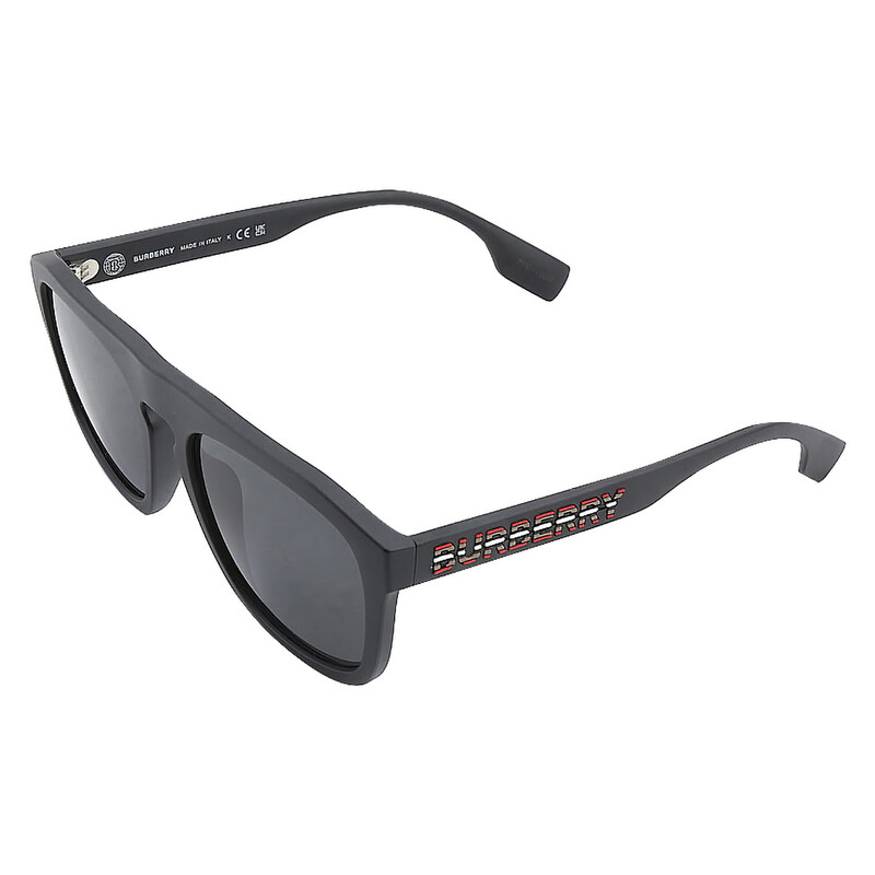 Burberry Wren Dark Grey Browline Men's Sunglasses BE4396U 346487