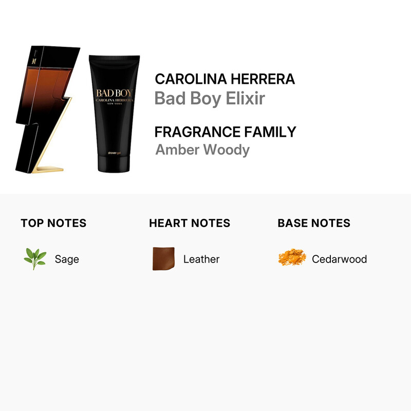 Carolina Herrera Men's Bad Boy Elixir Gift Set Fragrances