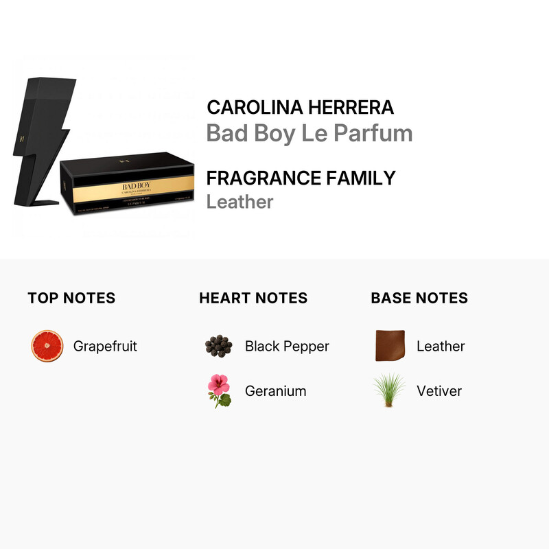 Carolina Herrera Men's Bad Boy Le Parfum EDP Spray 5 oz Fragrances