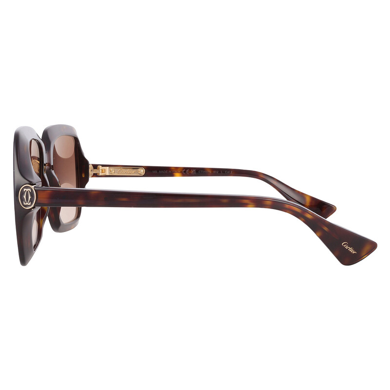 Cartier C Decor Brown Multi Treatment Square Ladies  display picture 1