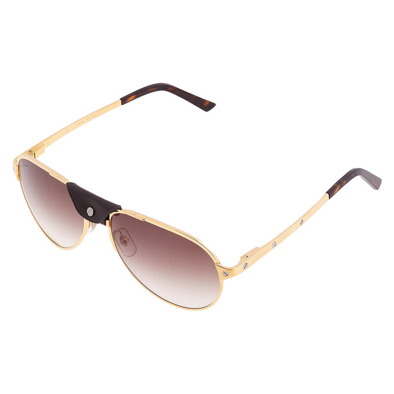 Cartier Santos de Cartier Brown Gradient Pilot Men display picture 1