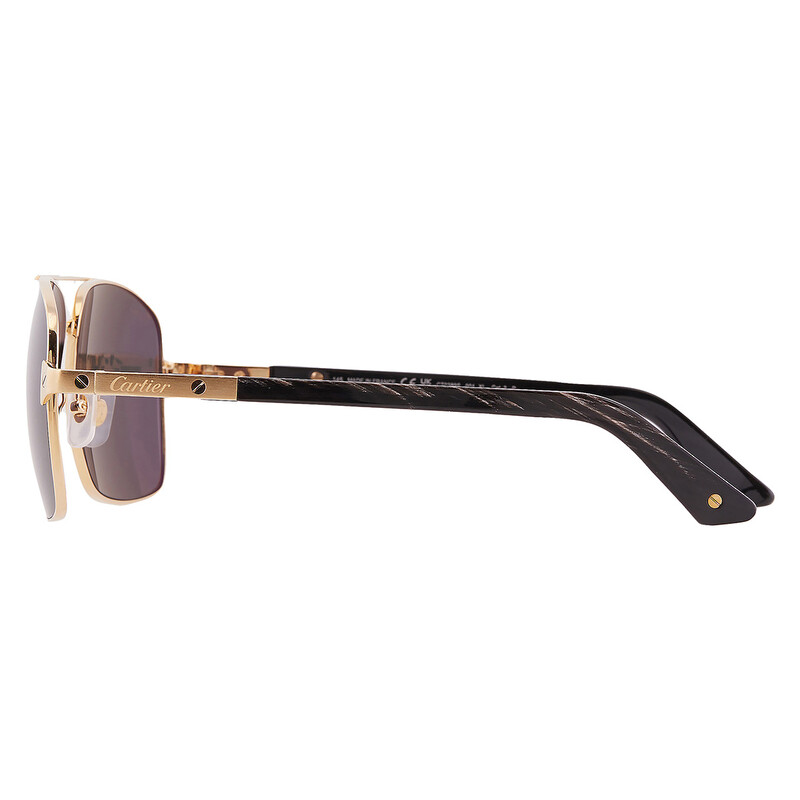 Cartier Santos de Cartier Grey Navigator Sunglasses CT0389S 001 61