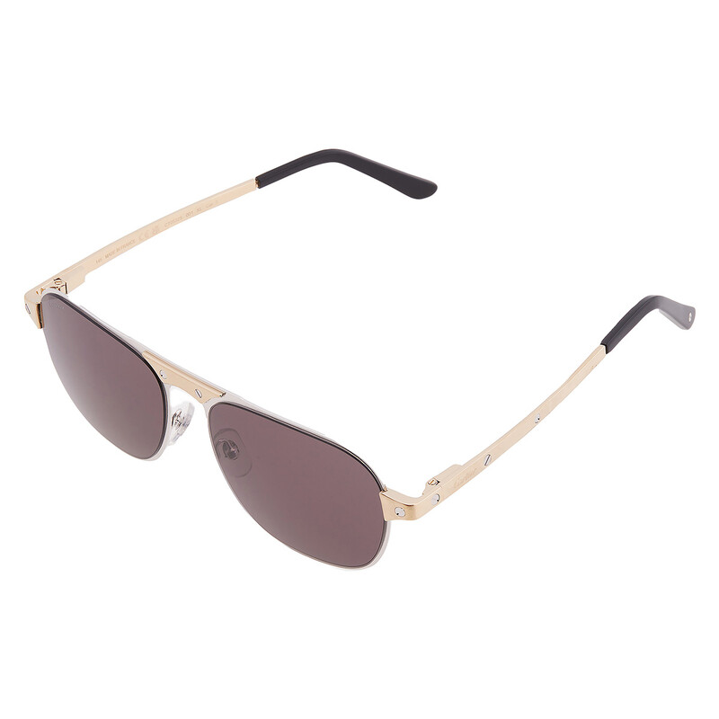Cartier Santos de Cartier Grey Pilot Men display picture 2
