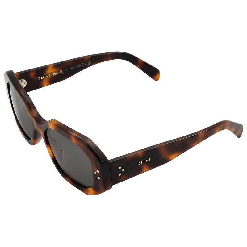 Celine Smoke Geometric Ladies Sunglasses CL40255I 53A 52
