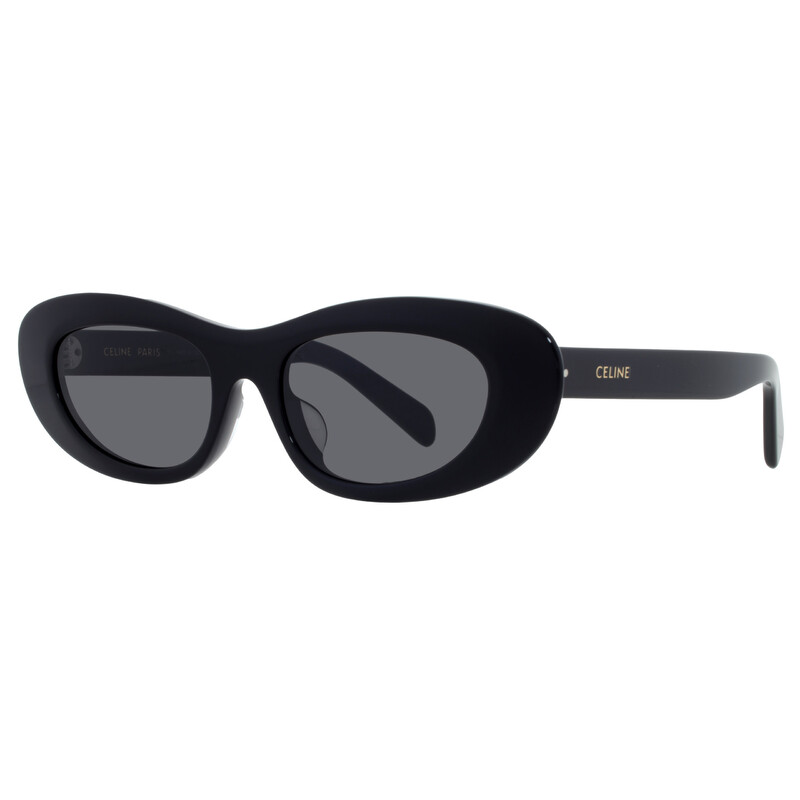 Celine Smoke Oval Ladies Sunglasses CL40310U 01A 54 192337214615