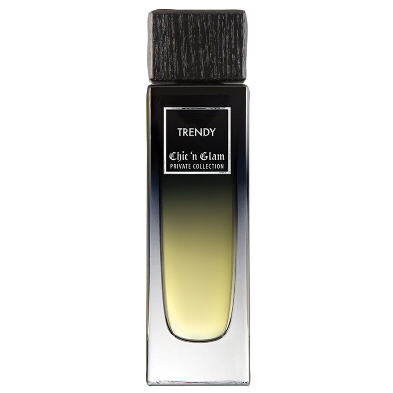 Chic 'N Glam Men's Trendy EDP Spray 3.4 oz Fragrances