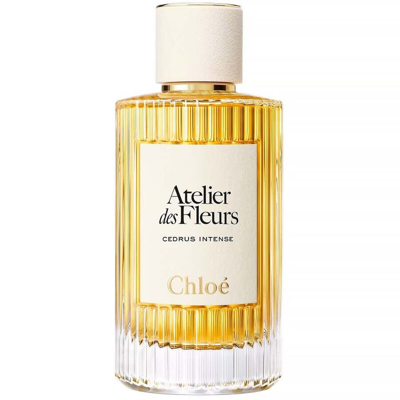 Chloé Ladies Cedrus Intense EDP Spray 1.7 oz Fragrances