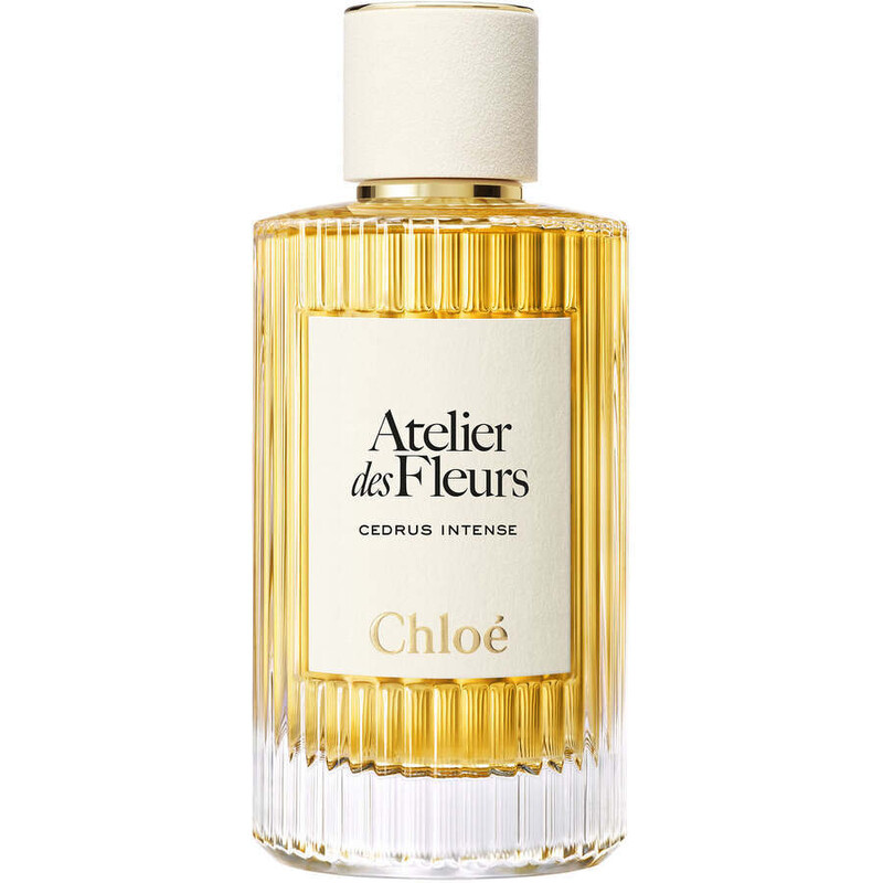 Chloe Ladies Atelier Des Fleurs Cedrus Intense EDP Spray 5.0 oz Fragrances 3616305259530