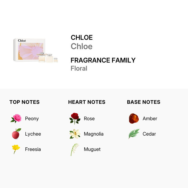 Chloé Ladies Chloe Gift Set Fragrances 3616305270498 - Fragrances