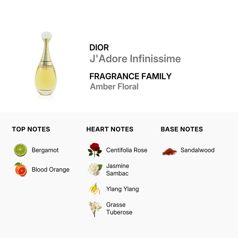 Dior Christian Dior Ladies J'Adore Infinissime EDP Spray 3.4 oz
