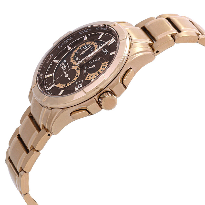 Citizen Eco-Drive Perpetual GMT Brown Dial Men's Watch BL8163-50X