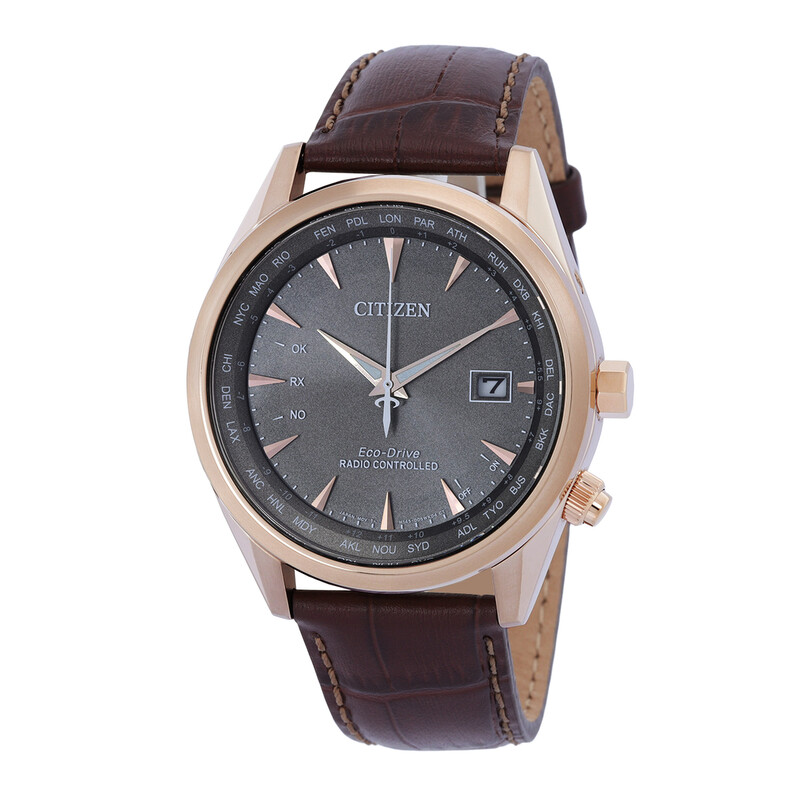 Citizen Perpetual World Time GMT Eco-Drive Grey Dial Men's Watch