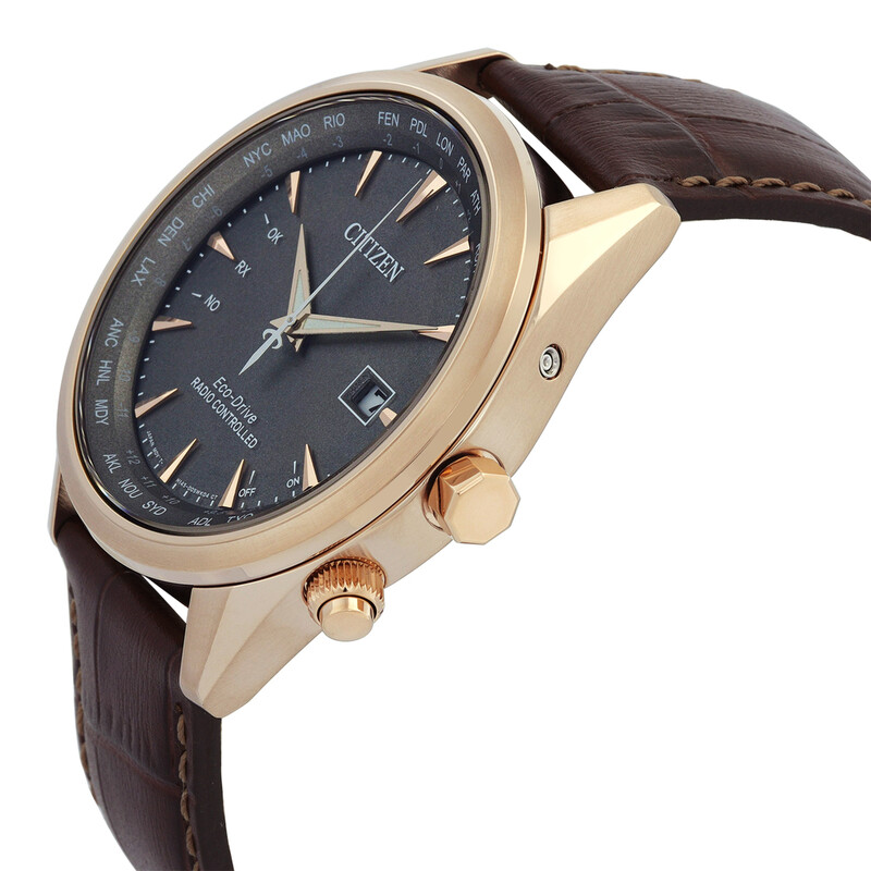 Citizen Perpetual World Time GMT Eco-Drive Grey Dial Men's Watch