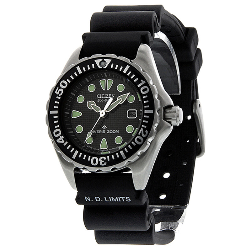 Citizen Professional Diver Eco-Drive Black Dial Ladies Watch
