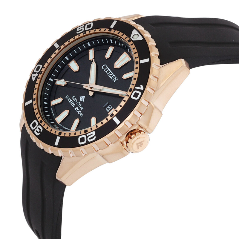Citizen Promaster Black Dial Men's Watch BN0193-17E 4974374269249