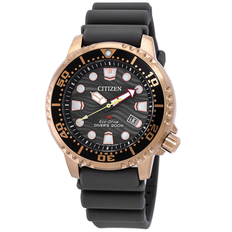 時計 CITIZEN Promaster Citizen Promaster Dive Eco-Drive Gray Dial Men's Watch BN0163-00H