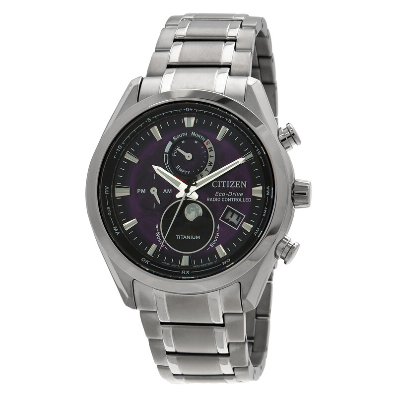 Citizen Tsuki-yomi A-T Perpetual World Time Purple Dial Men's