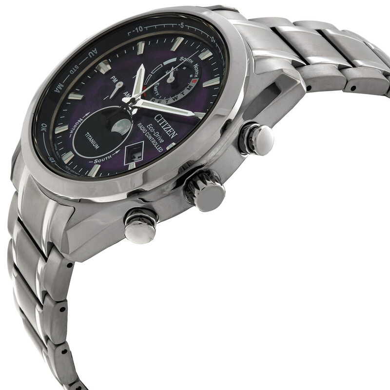 Citizen Tsuki-yomi A-T Perpetual World Time Purple Dial Men's