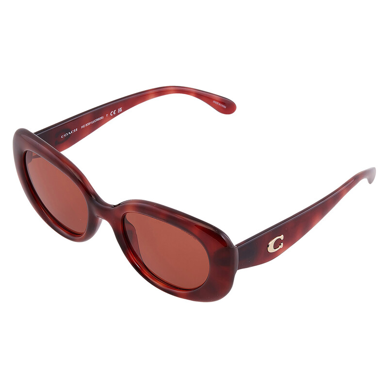 Coach Brown Oval Ladies Sunglasses HC8391U 577473 53 725125527347