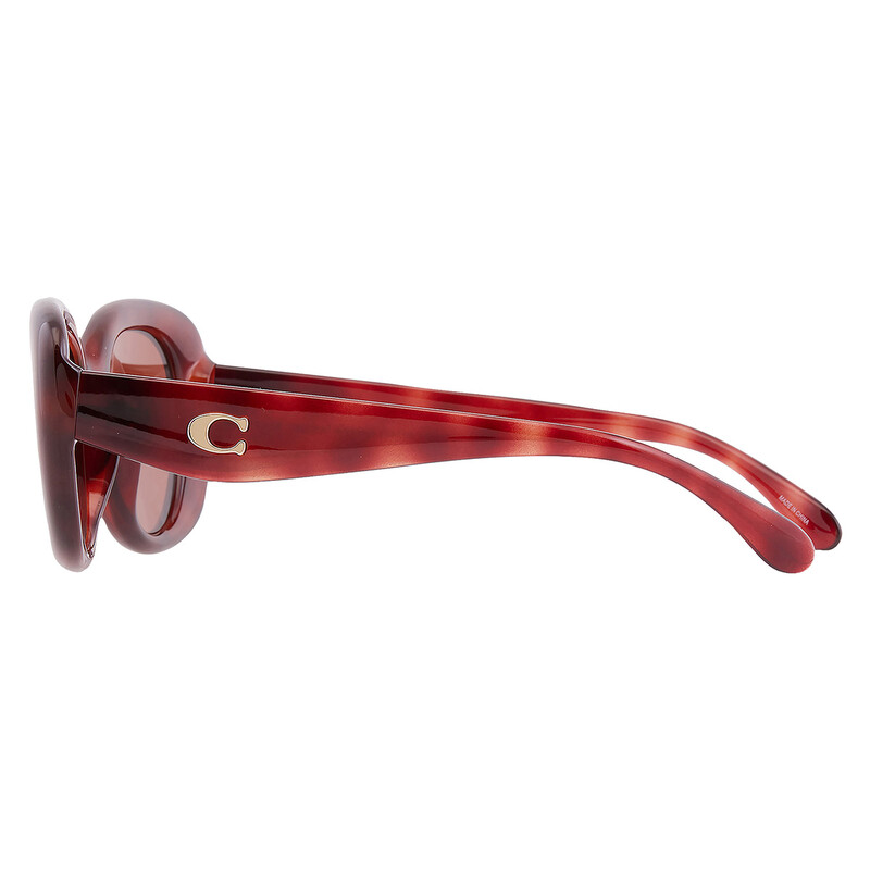 Coach Brown Oval Ladies Sunglasses HC8391U 577473 53 725125527347