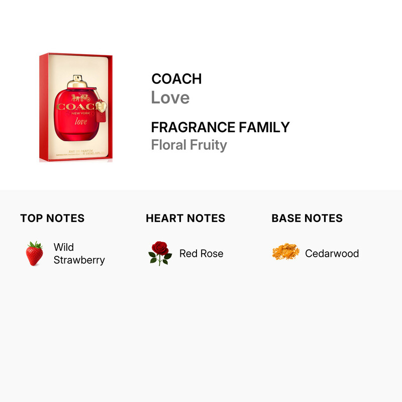 Coach Ladies Love EDP Spray 5 oz Fragrances 3386460154864