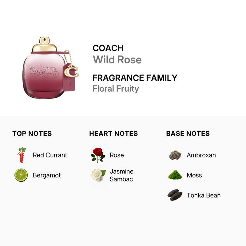 Coach Ladies Wild Rose EDP 3.0 oz (Tester) Fragrances