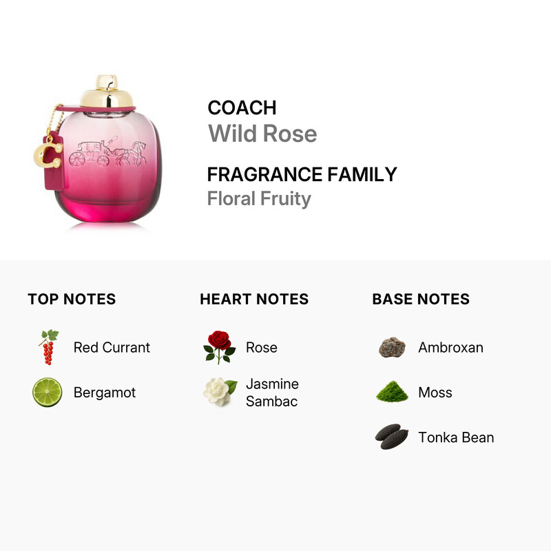 Coach Wild Rose / Coach EDP Spray 3.0 oz (90 ml) (W) 3386460126571