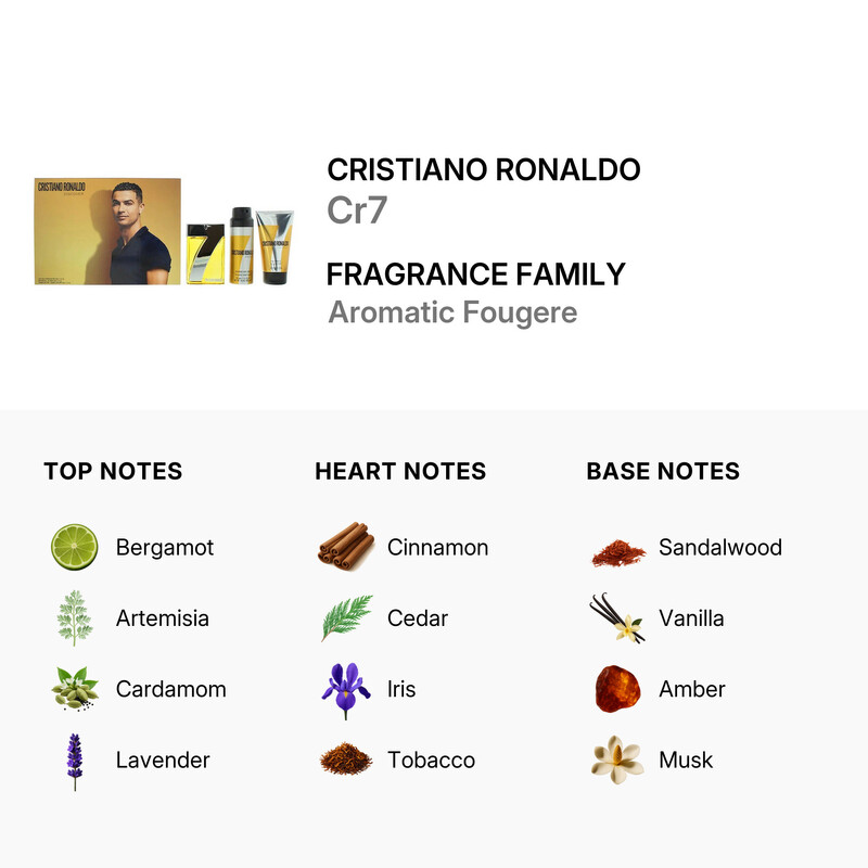 CR7さん専用 セール品！ホットスタッフ CROSS SPEED HYPER EDITION CR7(クロス